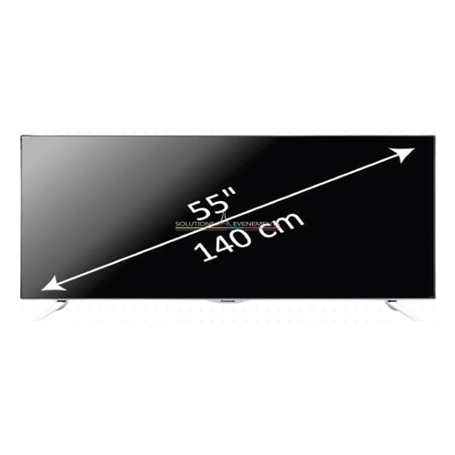 Écran de 55 pouces avec pied